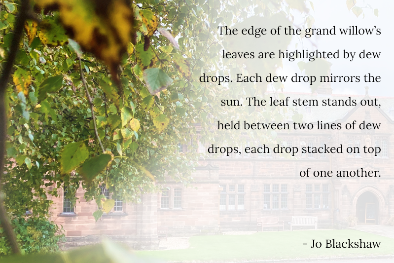 A misty shot of Library building through wet leaves. The edge of the grand willow’s leaves are highlighted by dew drops. Each dew drop mirrors the sun. The leaf stem stands out, held between two lines of dew drops, each drop stacked on top of one another.   - Jo Blackshaw