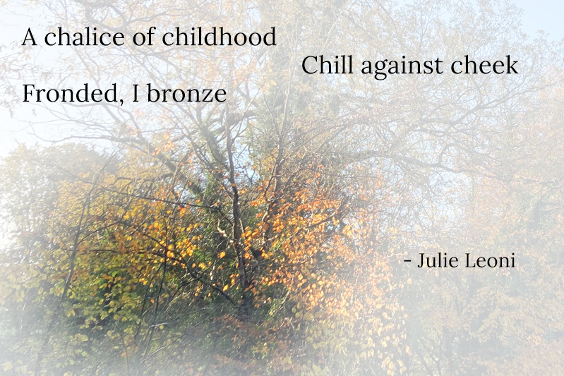 A photo showing autumnal trees. A chalice of childhood Chill against cheek Fronded, I bronze - Julie Leoni  					