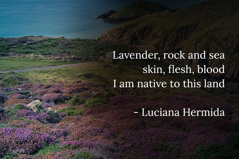 A shot showing purple plants clustered on a land near sea. Lavender, rock and seaskin, flesh, blood I am native to this land- Luciana Hermida